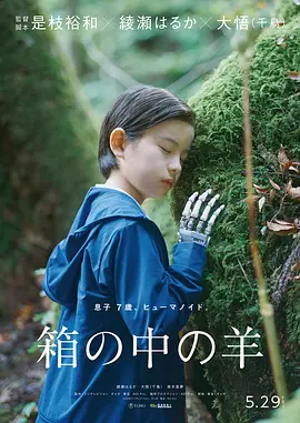盒子里的羊 箱の中の羊